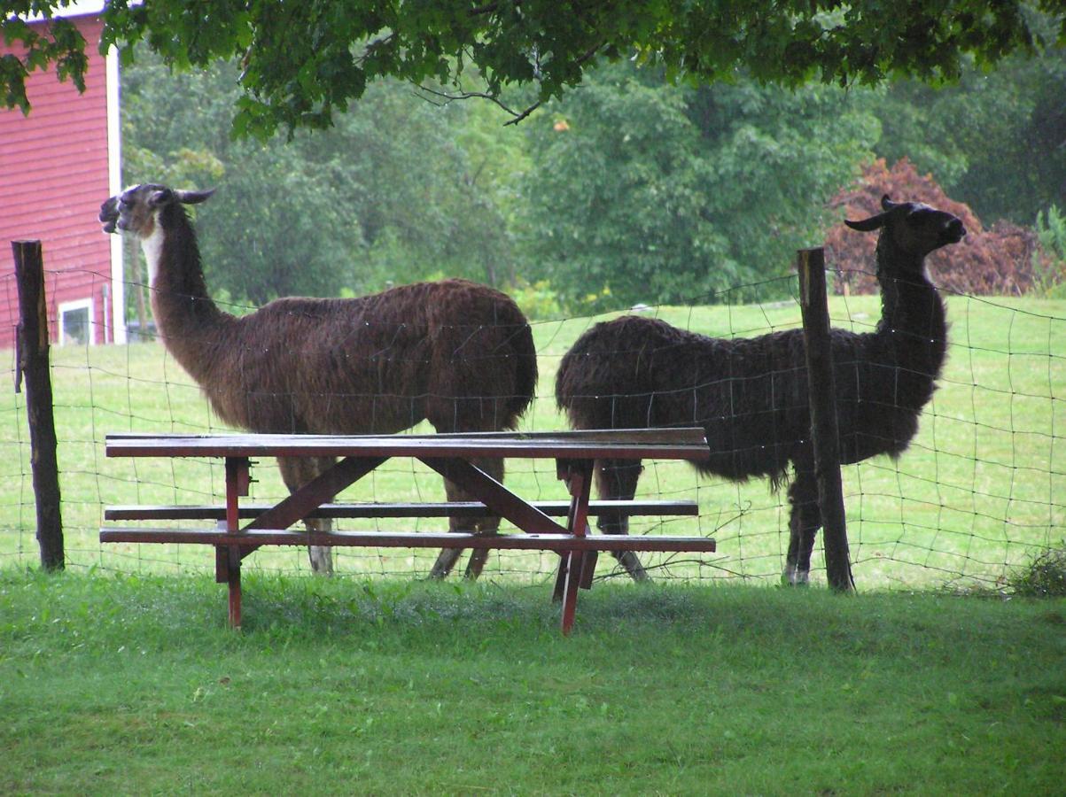 Maple Hill Farm Inn Augusta Exteriör bild